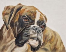Thuline De Cock, (Belgian b.1970)  Oil painting Portrait of a boxer dog, signed lower left, 40.5cm x