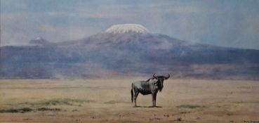 David Shepherd Colour print of a Wildebeest, signed in pencil in the margin by the artist and colour