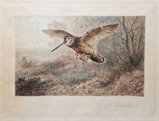 After Archibald Thorburn (British 1860-1935) Colour print 