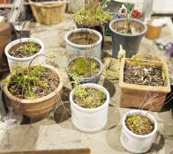 Four Heritage Garden pottery planters of varying sizes, six further planters of varying sizes and