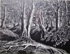 Peter Reddick (1924-2010) Woodcut  'Beeches', wood engraved image of a beech wood. limited edition