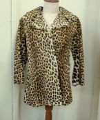 A vintage leopard skin coat labelled K. Borowski Johannesburg, CITES number 581257/01