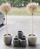 Five small grey painted resin garden planters and two large grey painted ceramic garden planter  (