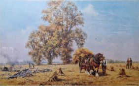 David Shepherd Limited edition colour print  