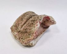 Early 20th century cast of a tiger's tongue, measuring approximately 10cm long