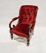 Victorian mahogany open armchair with red dralon button back, stuffover seat and having open