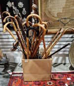 Quantity of assorted walking canes of varying sizes and designs and a shooting stick