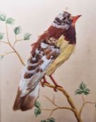 After Sir Oswald Walter Brierly (British, 1817-1894) Lithograph 