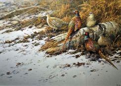 Neil Cox (British b.1955) Watercolour Pheasants in snow-covered undergrowth, signed lower right,