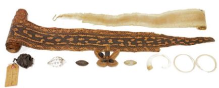 Egg of Port Jackson shark found in Sydney Harbour, with label from Tost & Rohu, a seed pod,