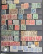 Argentine & Brasil: Two stock books, one of each country with issues from mid 1800s to 1970s,