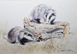 Eileen Alice Soper (1905-1990)  Watercolour on paper  Badgers in landscape, signed lower right,