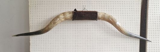 Large pair of Longhorns, 150cm high approx.