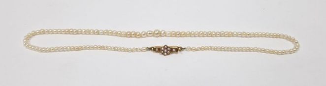 String of graduated seedpearls on gold-coloured metal and seedpearl set flower clasp