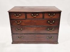 Georgian mahogany chest of drawers having three short raised over three long drawers, each with