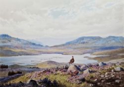 J C Harrison (1898-1985) Watercolour Grouse in moorland, Loch Broom, 32cm x 46cm  Condition Report