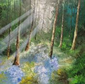 LOT WITHDRAWN Philip Grey (Irish 1959-    ) Acrylic on canvas Forest clearing, 81cm square