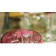 Set of coloured flashed and engraved drinking glasses, 20th century, cut and engraved with - Image 3 of 6