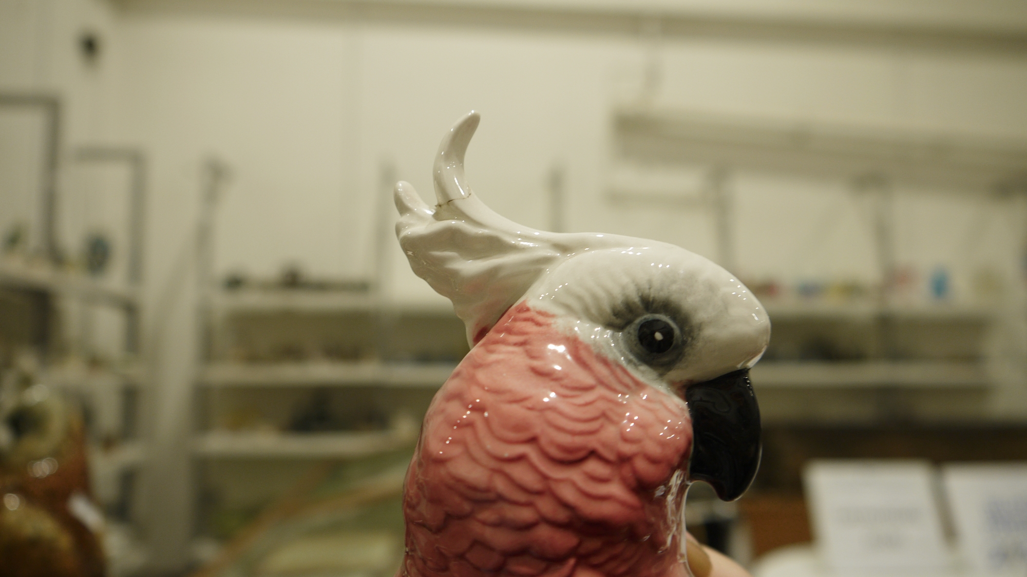 Collection of Karl Ens porcelain models of birds, including kingfishers, parrots and owl, printed - Image 16 of 26