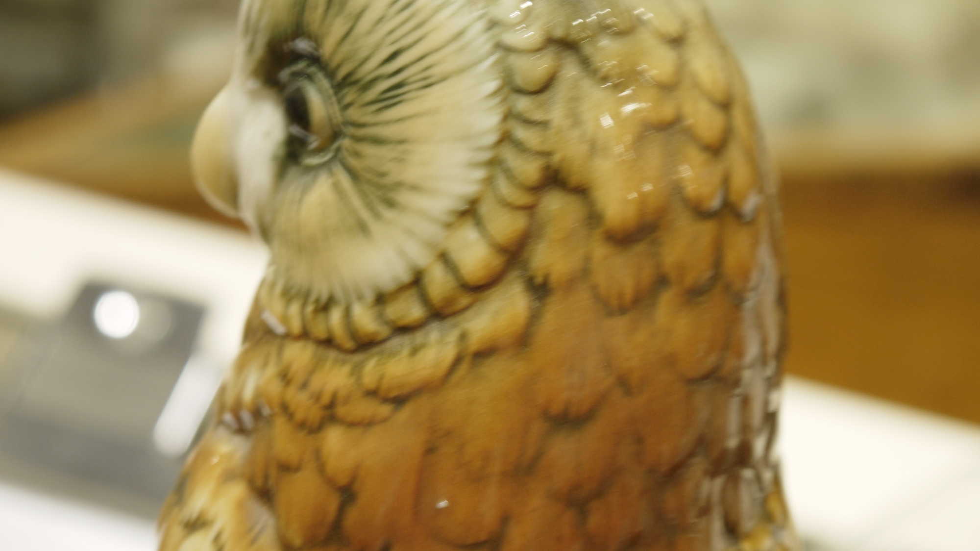 Collection of Karl Ens porcelain models of birds, including kingfishers, parrots and owl, printed - Image 18 of 26