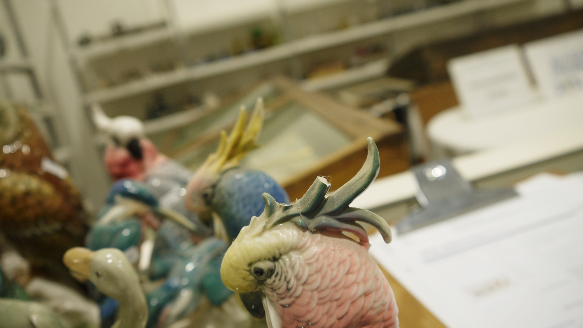 Collection of Karl Ens porcelain models of birds, including kingfishers, parrots and owl, printed - Image 7 of 26