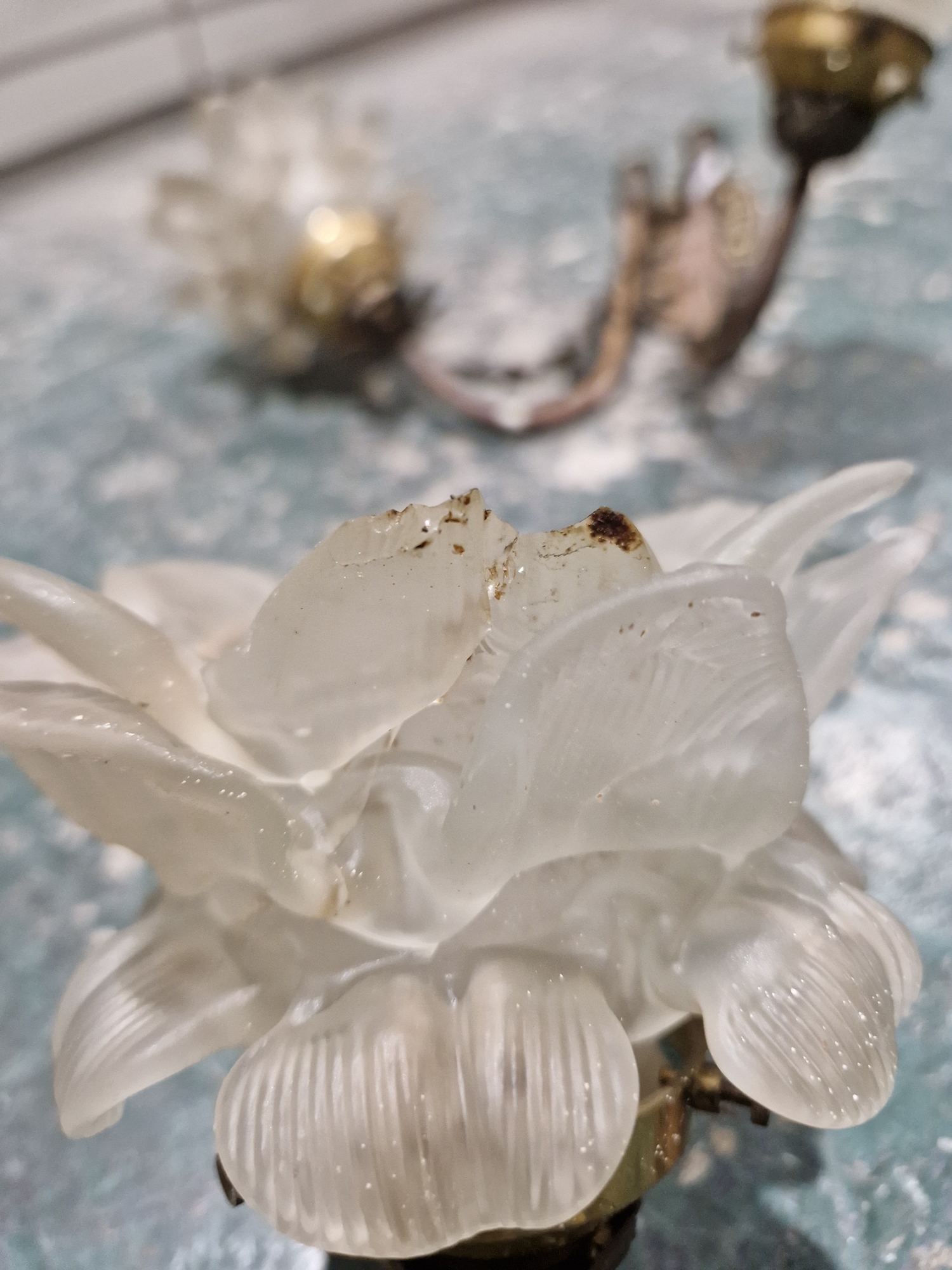 Group of gilt-metal and opaque glass wall lights, each with frosted glass petal-shaped sconces - Image 8 of 13