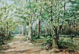 G Broomford (20th century) Watercolour Woodland scene with path, signed lower left, framed and