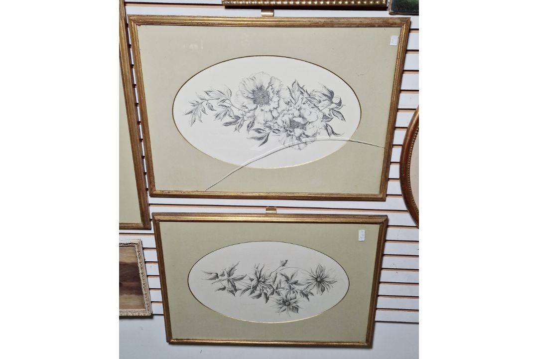 Valerie Oakshott Watercolour Study of a yellow rose (copy of Redoute's Rosier des Parfumes) signed - Image 4 of 7