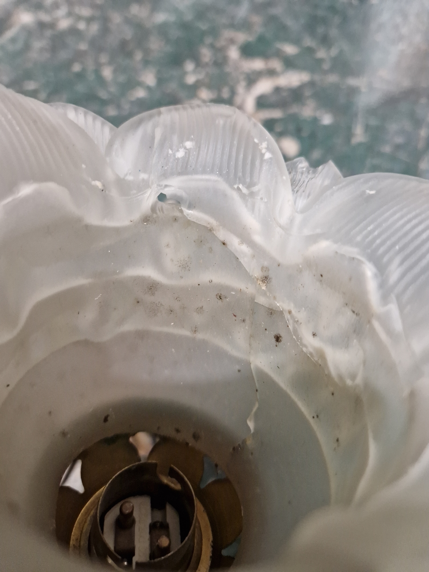 Group of gilt-metal and opaque glass wall lights, each with frosted glass petal-shaped sconces - Image 13 of 13