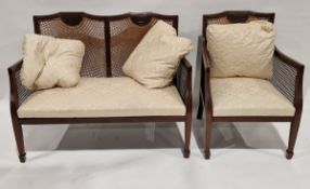 Early 20th century mahogany framed bergere two-seater salon sofa and chair, each carved with a