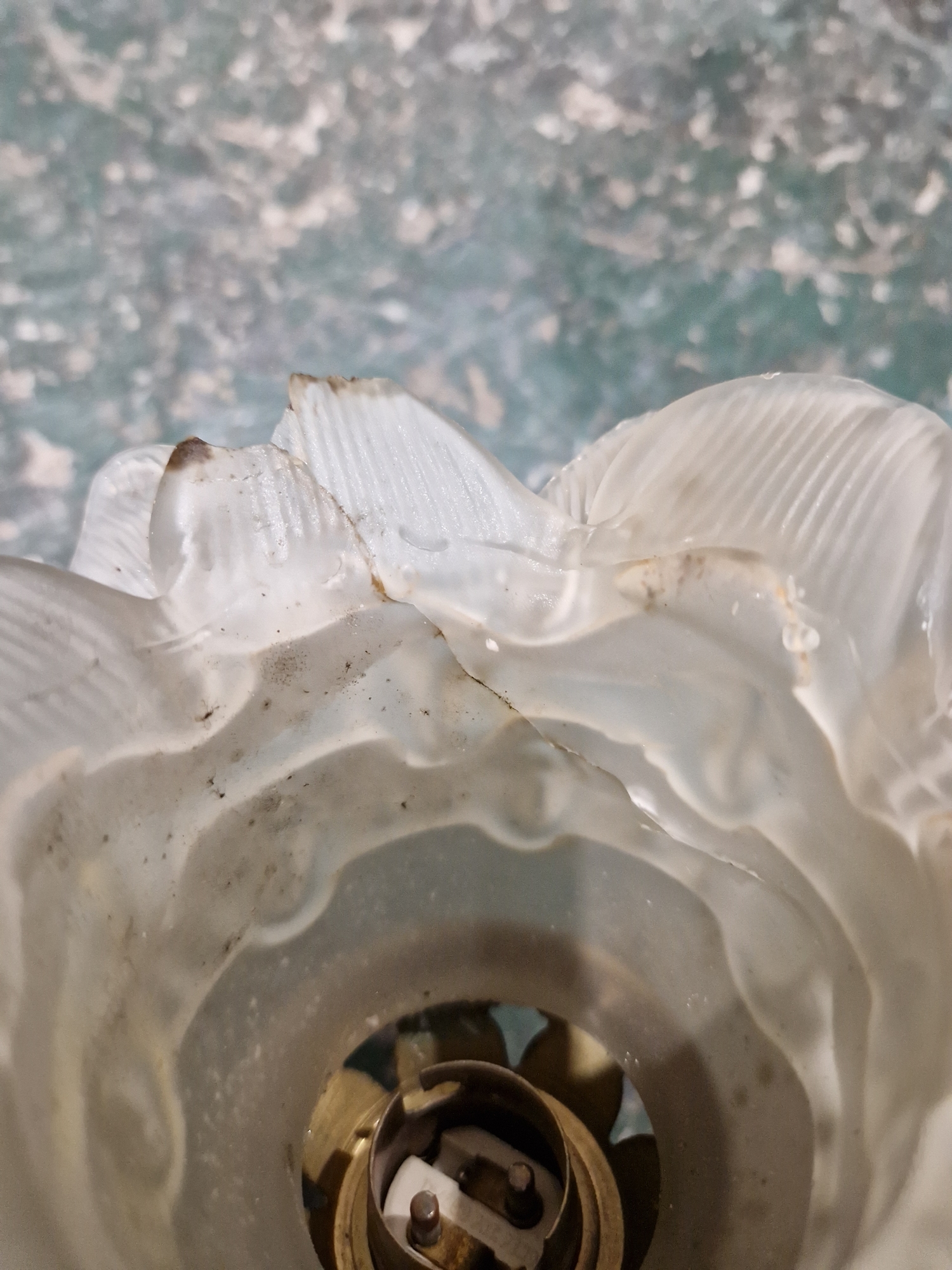 Group of gilt-metal and opaque glass wall lights, each with frosted glass petal-shaped sconces - Image 12 of 13