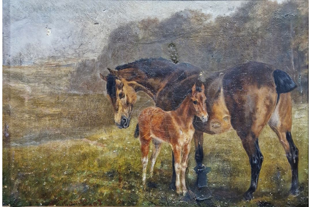 Sophie Turner (19th century) Oil on canvas Study of a mare and foal in field, signed, 24cm x 34cm - Image 1 of 2