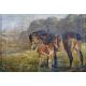 Sophie Turner (19th century) Oil on canvas Study of a mare and foal in field, signed, 24cm x 34cm - Image 1 of 2