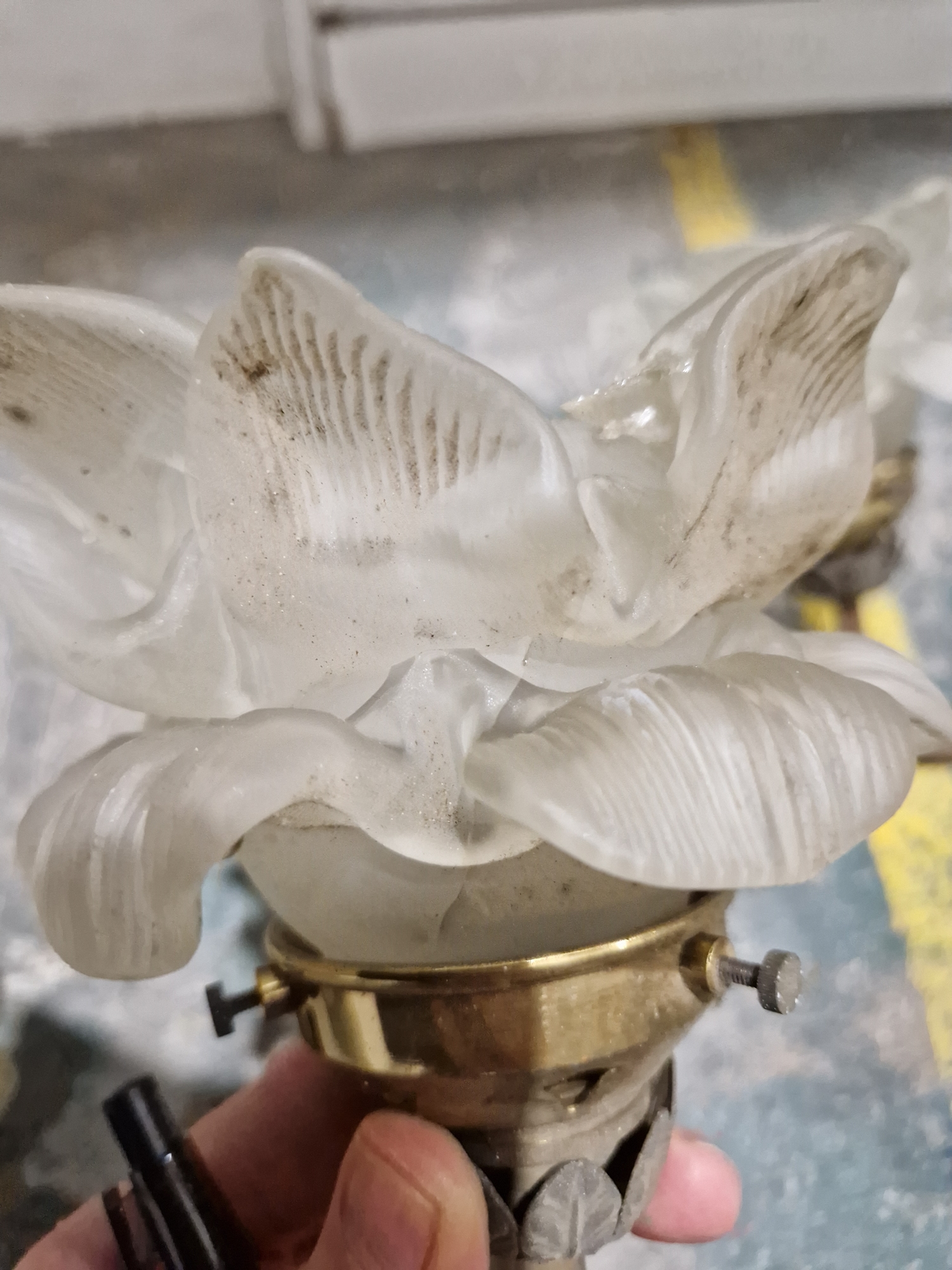 Group of gilt-metal and opaque glass wall lights, each with frosted glass petal-shaped sconces - Image 5 of 13