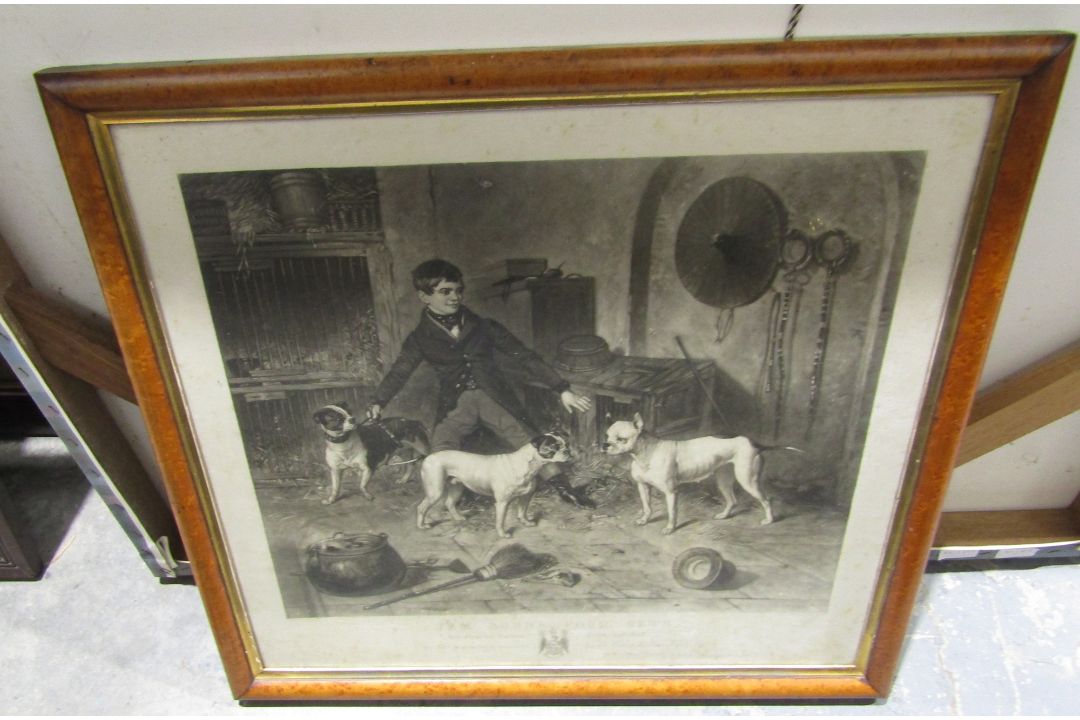 Engraving after T Glater 'Jem Burn's Four Pets........' showing three old fashioned English bull - Image 1 of 2