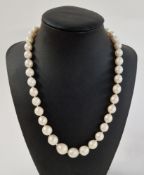 String of slightly graduated pearls with 14ct. yellow pierced ball clasp