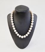 String of large cream cultured pearls with gold-coloured clasp  Condition Report These are modern