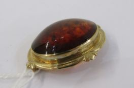 Amber brooch, oval and having 9ct gold hallmarked surround and a white metal and white stone bar