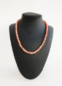 Coral bead necklace, single-strand