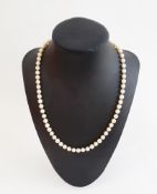 Cultured pearl necklace, graduated and the sapphire set flowerhead clasp, and a cultured pearl