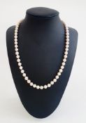 Cultured pearl necklace, single-strand and the 9ct gold clasp set garnet and pearl cluster