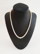 Single-strand cultured pearl necklace, graduated, and the gold, pearl and diamond set clasp, 44cm