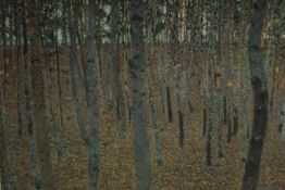 A 20th century framed and glazed print, 'Beech Tree', label to reverse. H.83 W.82cm.