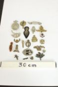 A collection of military badges, various regiments. H.3 W.7 D.8cm. (box)