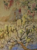 Donald Greig (1916-2009), Blossom Covered Tree Looking Over The River, watercolour on panel,