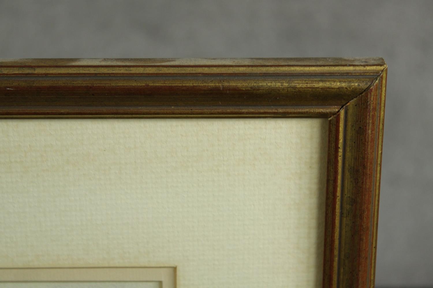 Trevor Chamberlain (b.1933), Birds in the Rain, watercolour on paper, signed and framed, together - Image 9 of 13