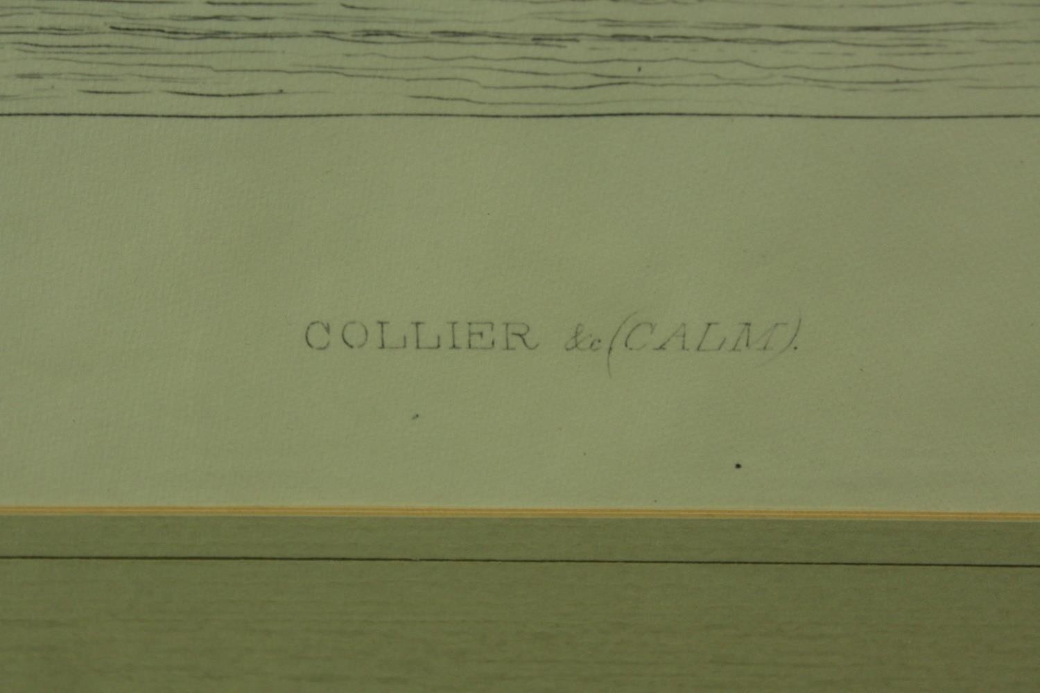 Trevor Chamberlain (b.1933), Birds in the Rain, watercolour on paper, signed and framed, together - Image 5 of 13