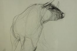 Marcus James (British b.1973) Bull, framed and signed pencil drawing on paper. H.87 W.96cm.