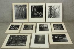 Ten unframed contemporary signed black and white photographs to include trees and interiors. (