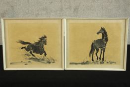 Two framed ink wash pictures of horses. Unsigned. H.29 x W.35 cm.